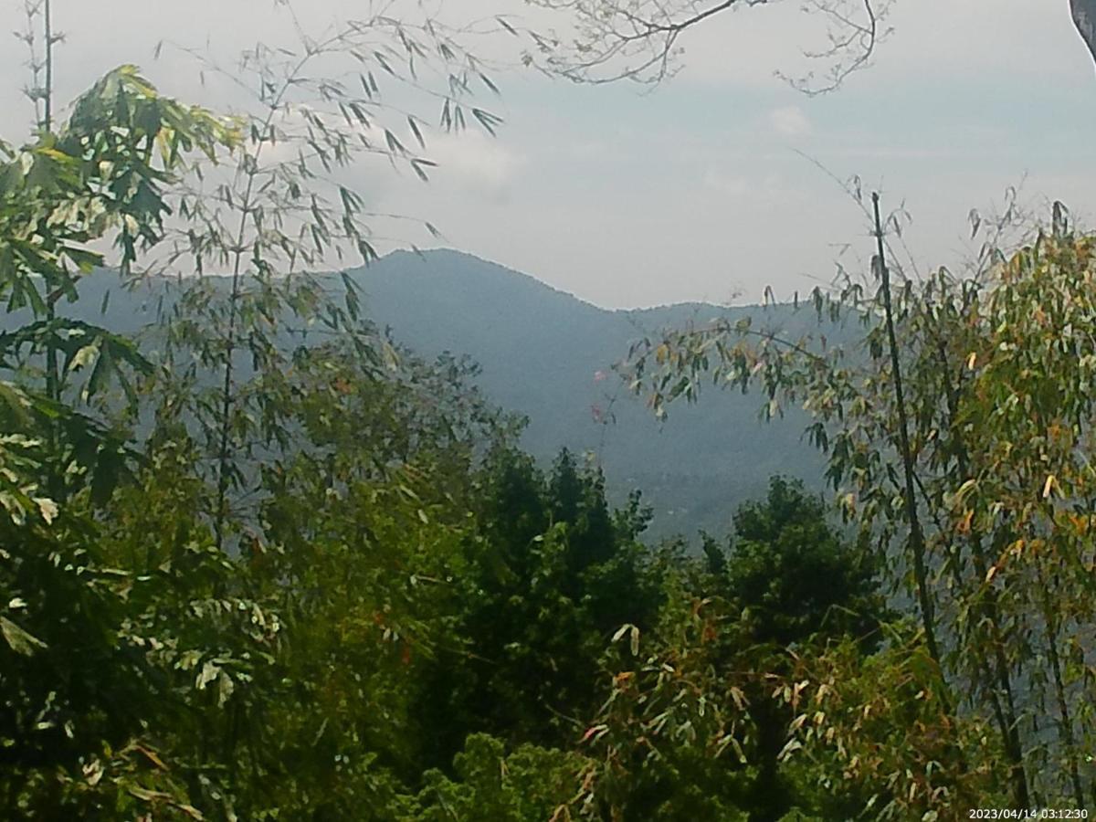 Mountain View Homestay Kalimpong Eksteriør billede