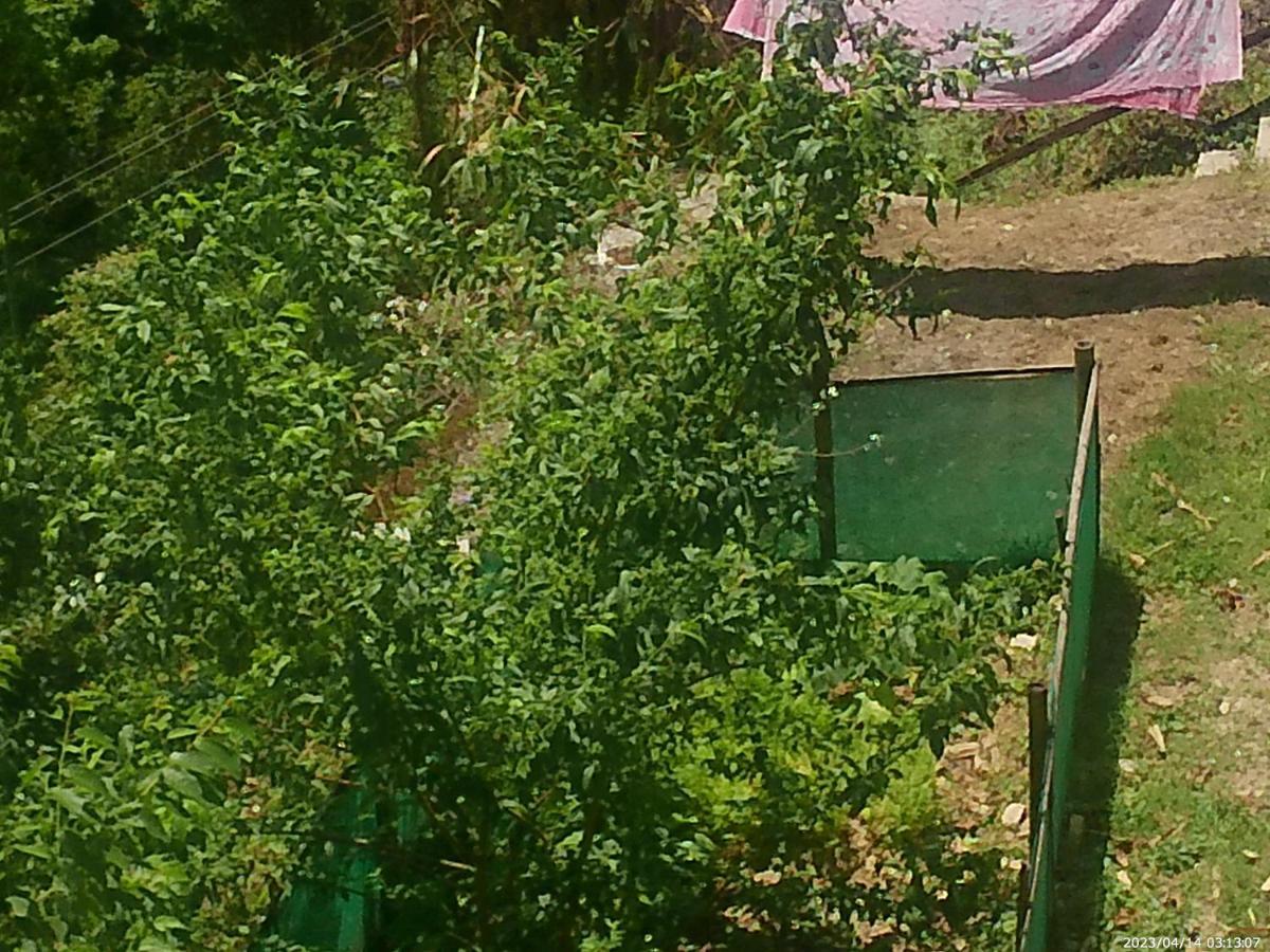Mountain View Homestay Kalimpong Eksteriør billede