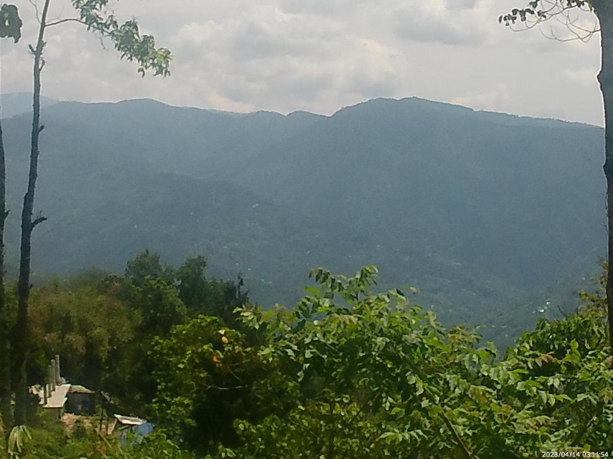 Mountain View Homestay Kalimpong Eksteriør billede