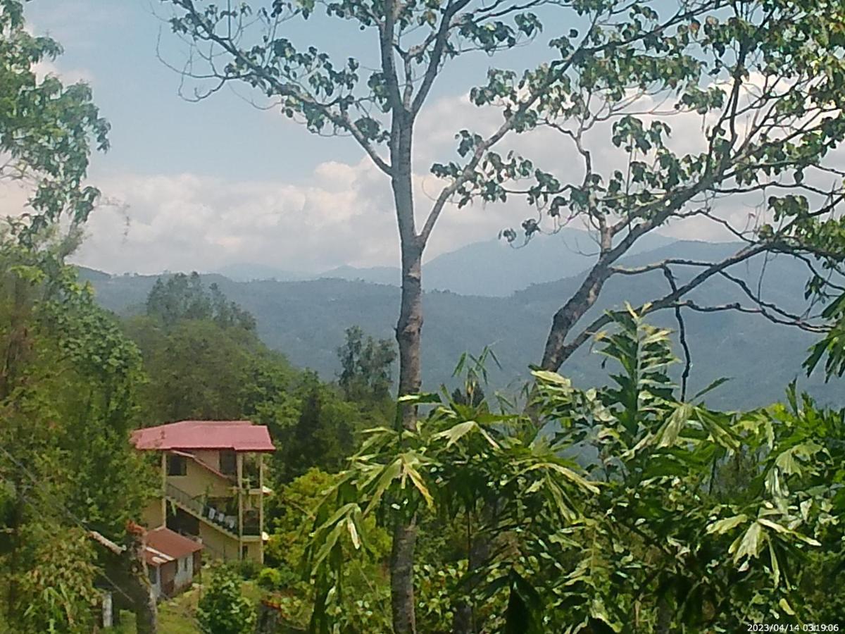 Mountain View Homestay Kalimpong Eksteriør billede